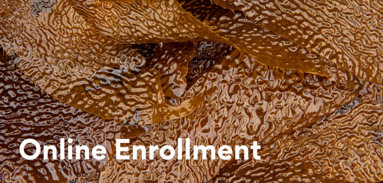 Online Enrollment