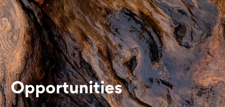 Sealaska Opportunities